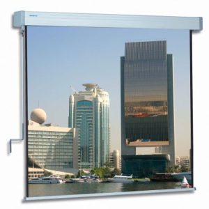 Hapro manual 290 x 300 cm Projector Screen